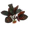 Toddmomy Realistic Reptile Plant Decor, ABS, for Glass Containers view 1