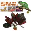 Toddmomy Realistic Reptile Plant Decor, ABS, for Glass Containers view 3