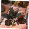 Toddmomy Realistic Reptile Plant Decor, ABS, for Glass Containers view 4
