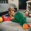Durable Dog Toy - Squeaky Duck view 2