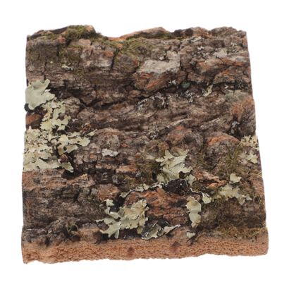 Hemobllo Cork Bark for Terrarium and Aquarium