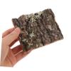 Hemobllo Cork Bark for Terrarium and Aquarium view 4