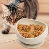 Silicone Pet Bowl - Non-Slip Cat Dish view 3