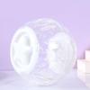 Hamster Ball for Small and Medium-Sized Animals, for Daily Exercise view 2