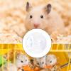 Hamster Ball for Small and Medium-Sized Animals, for Daily Exercise view 4