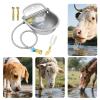 Automatic Stainless Steel Livestock Watering Troughs view 4