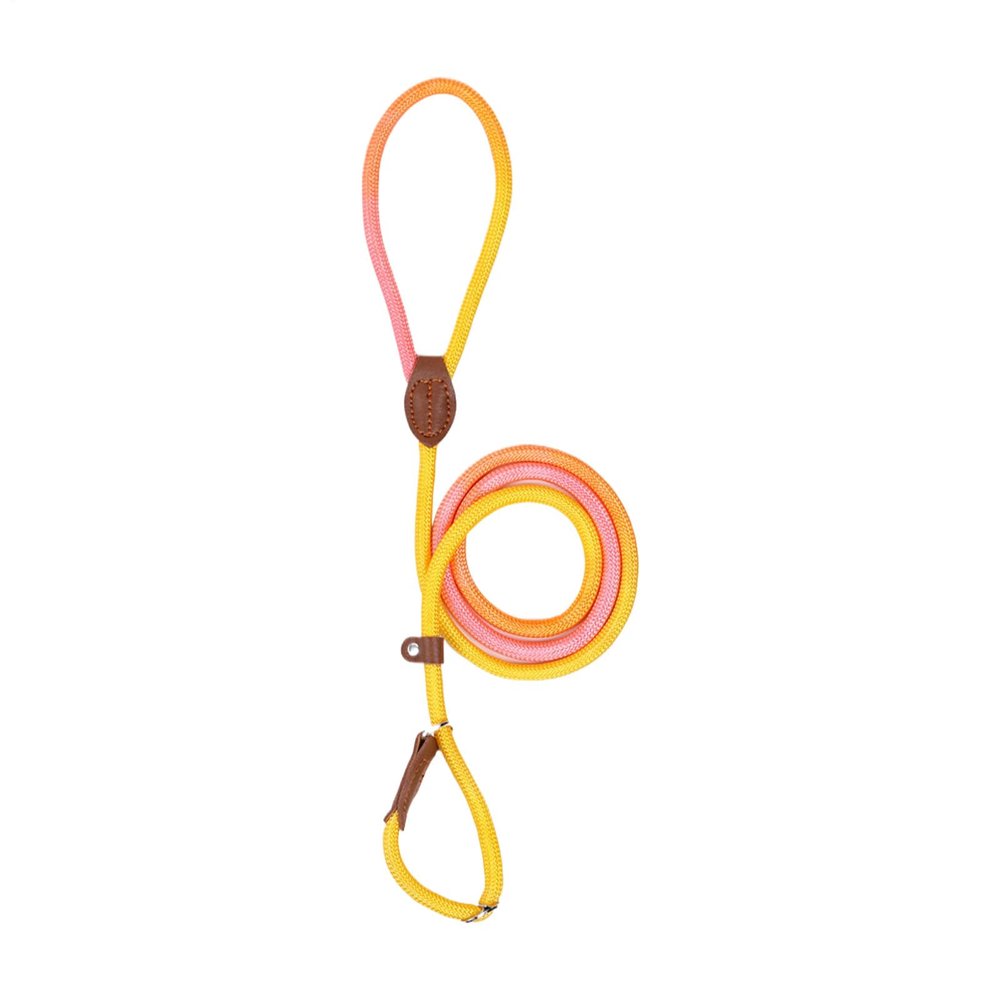 Dog Harness - No Pull Nylon Training Leash for Pets