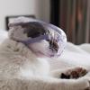 Pjeghbvop Antibite Cat Muzzle view 3