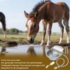 Automatic Stainless Steel Waterer Bowl for Livestock with Float Valve view 2