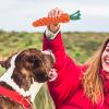 Carrot-Shaped Dog Chew Toy view 4