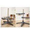 Adjustable Elevated Pet Bowl Stand with 2 Stainless Steel Bowls view 2