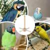 Riaisttd Small Bird Perch, 360° Rotating Toy view 4