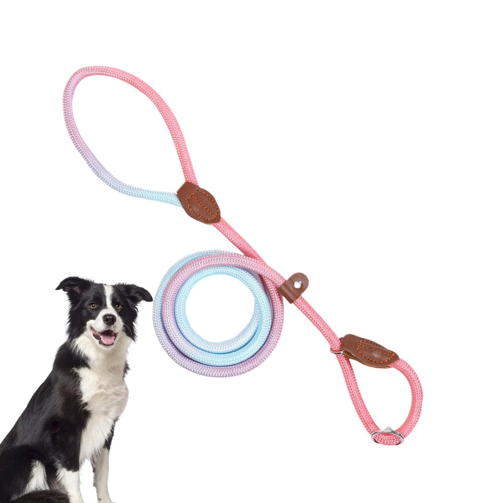 Outdoor Dog Leash for Pets