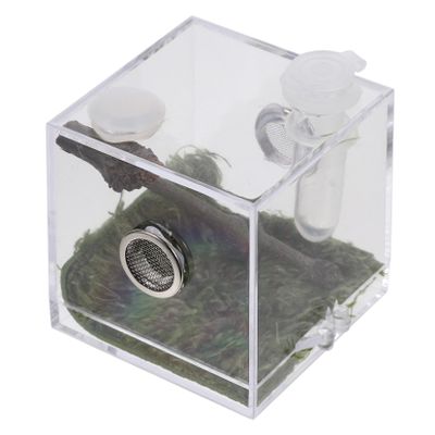 HEMOTON Acrylic Tarantula Terrarium