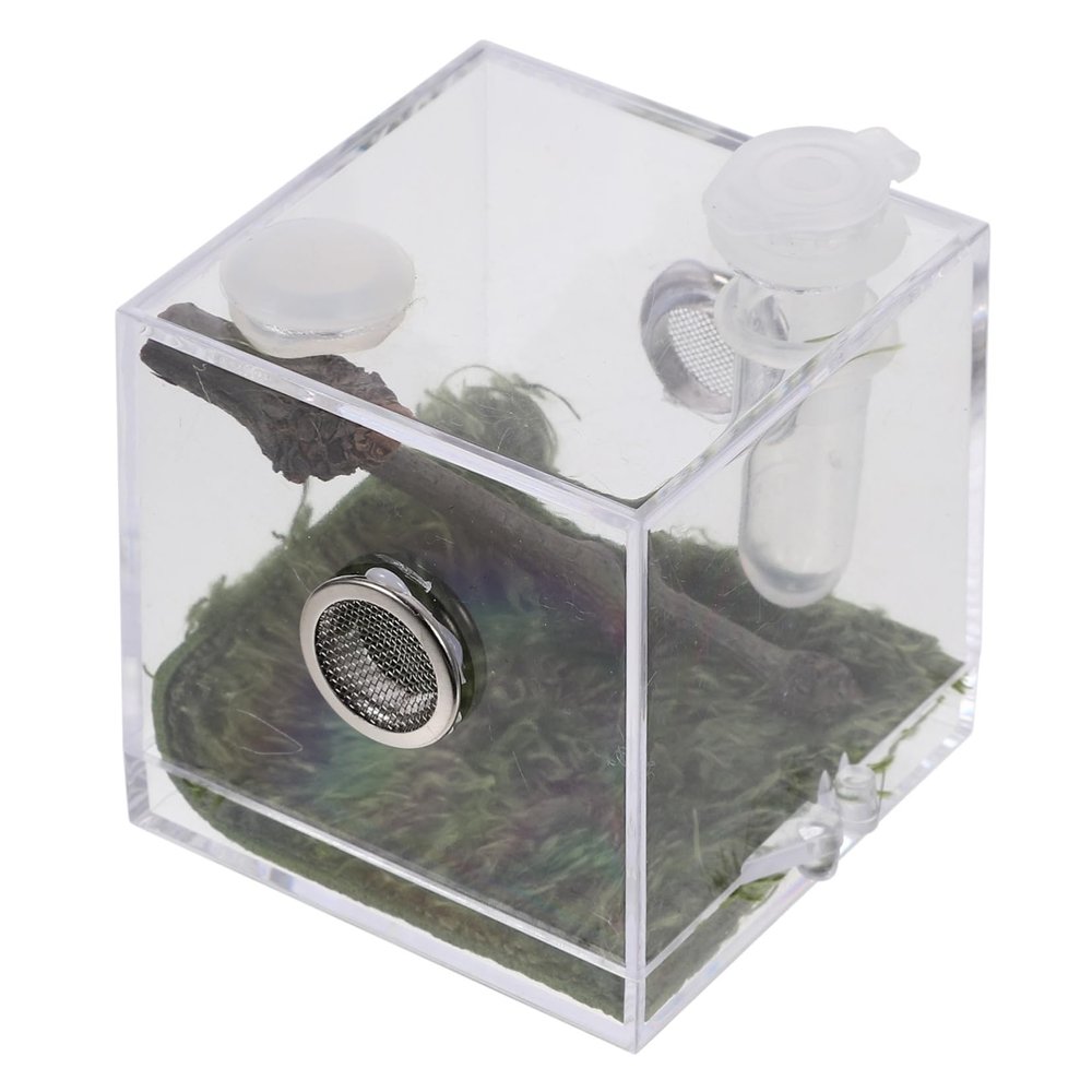 HEMOTON Acrylic Tarantula Terrarium
