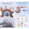 ZenSeFarin ED Focused Shock Wave Therapy Device, Gray view 2