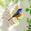 Folpus Parrot Double-Sided Mirror Perch Hanging Stand view 3