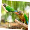 ibasenice Acrylic Bird Mirror with Bell view 3