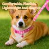 Giantree 3-Piece Dog Collar and Leash Set view 4