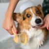 Non-Slip Pet Bath Brush with Soap Dispenser view 2