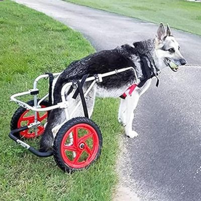 Adjustable Aluminum Dog Wheelchair for Disabled Hind Legs