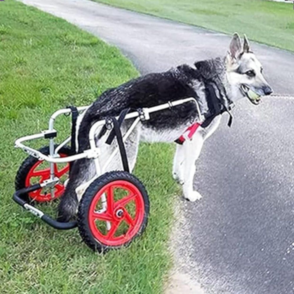 Adjustable Aluminum Dog Wheelchair for Disabled Hind Legs