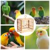 White Bird Cage with Easy-Clean Tray, 11.81 x 9.06 x 10.24 in view 4