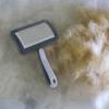 Pet Grooming Hair Removal Brush for Dogs view 3