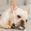 Durable Chew Toy for Aggressive Dogs view 3