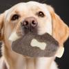 Durable Chew Toy for Aggressive Dogs view 4