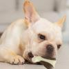 Indestructible Dog Chew Toy view 2