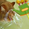 Cat Wand Toy - Interactive Feather Teaser view 4