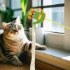 Cat Fishing Rod - Interactive Toy with Feathers view 3
