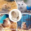 Small Hamster Wheel – Natural Enrichment Toy view 4
