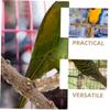 POPETPOP 2-Piece Wooden Bird Perches for Bird Cages, Parrot Stand with Perches for Budgerigars view 2