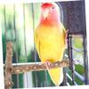 POPETPOP 2-Piece Wooden Bird Perches for Bird Cages, Parrot Stand with Perches for Budgerigars view 3