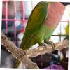 POPETPOP 2-Piece Wooden Bird Perches for Bird Cages, Parrot Stand with Perches for Budgerigars view 4