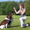 2-Pack Dog Whistle view 2