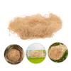 BESTonZON Nesting Material - Raffia Grass view 2
