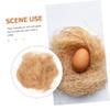 BESTonZON Nesting Material - Raffia Grass view 4