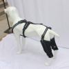 Yzdysg Dog Elbow Brace Wrap for Injured Limbs view 3