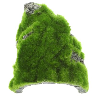 Decorative Green Turtle Platform for Reptiles and Turtles