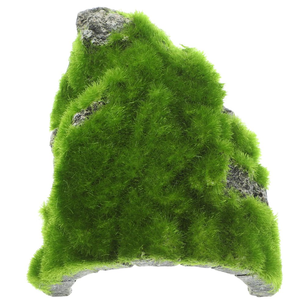Decorative Green Turtle Platform for Reptiles and Turtles