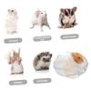 UPKOCH Hamster Sand Bath with PP Splash Guard for Small Animals view 3
