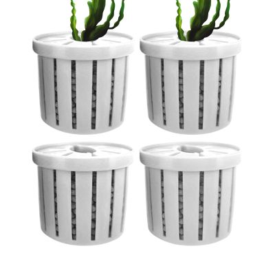 4-Piece Aquarium Plant Holder Set