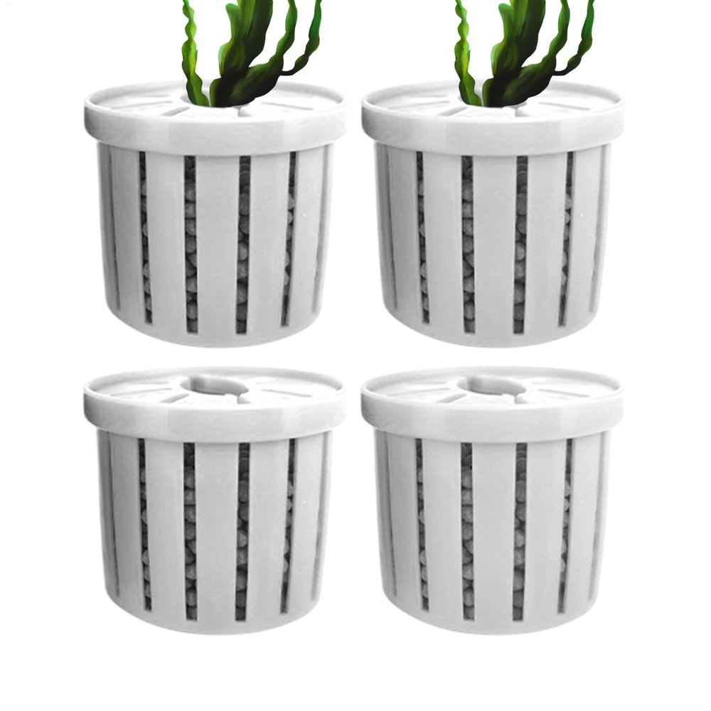4-Piece Aquarium Plant Holder Set