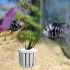 4-Piece Aquarium Plant Holder Set view 3