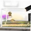 DECOMELODY Suction Cup Reptile Feeding Bowl view 4