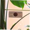 Toyvian Resin Driftwood Hide Decor for Leopard Geckos view 4