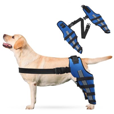 PETCUTE 2-Pack Dog Knee Braces with Reflective Strips, Adjustable Leg Support for ACL & Ligament Injuries, Strong Stabilization & Hind-Leg Protection for Fast Recovery—M (Blue)